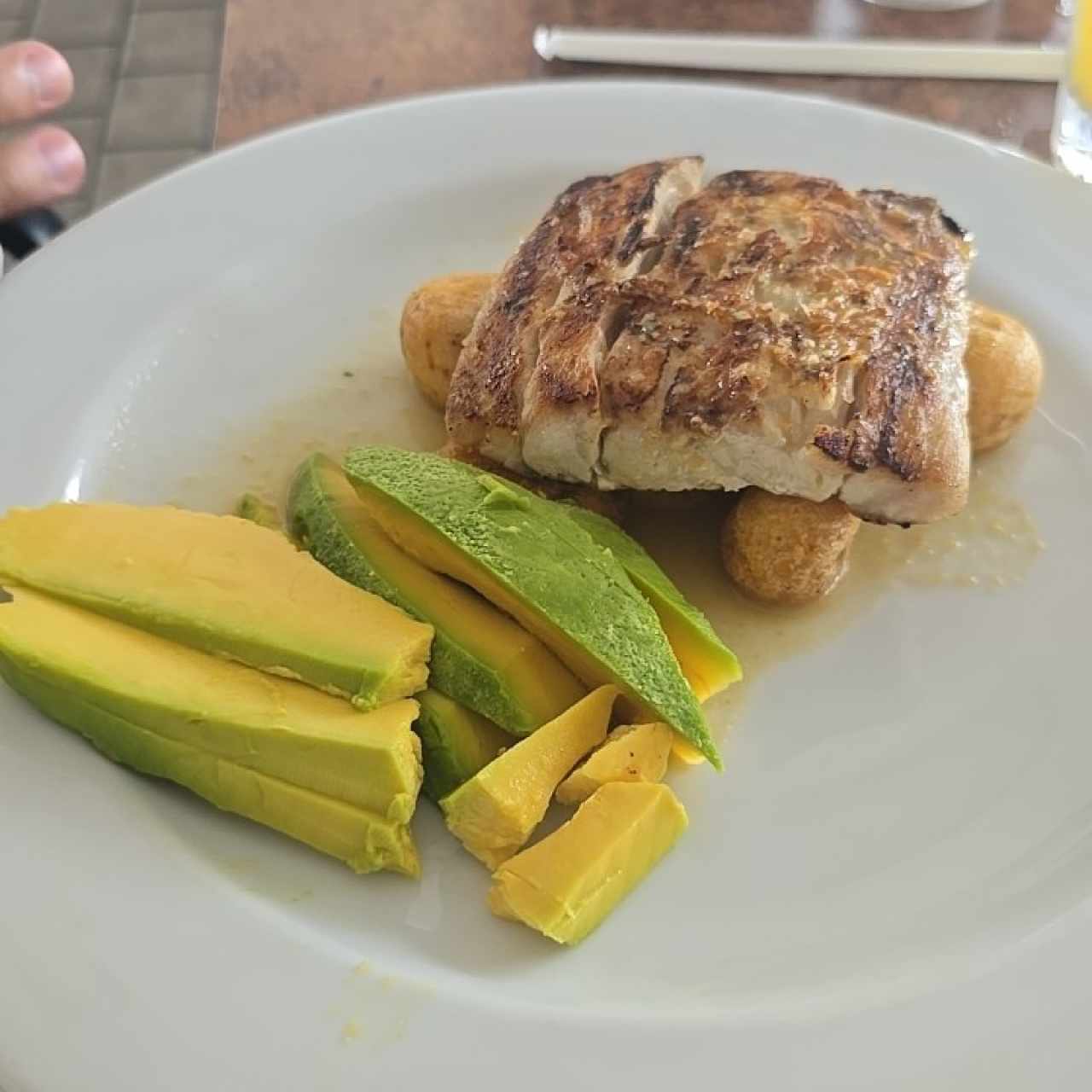 corvina patron