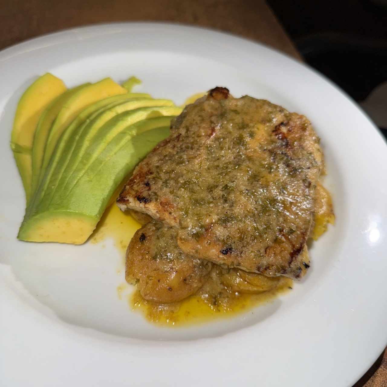 Corvina Patrón 