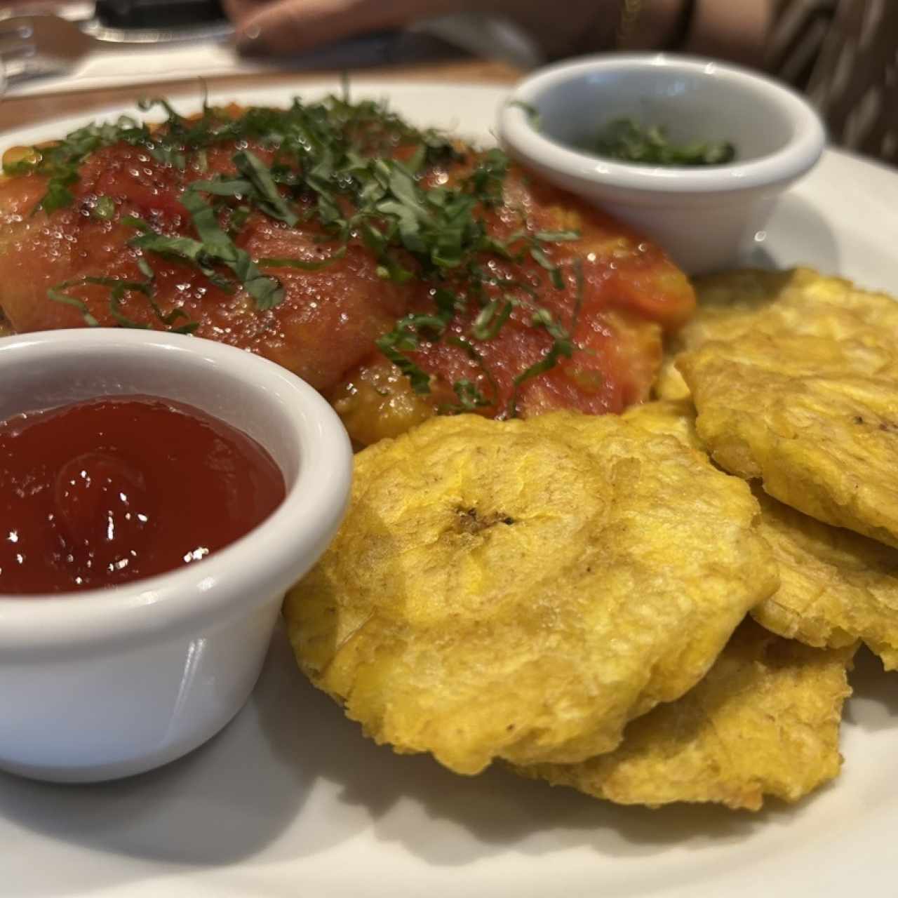 Corvina 