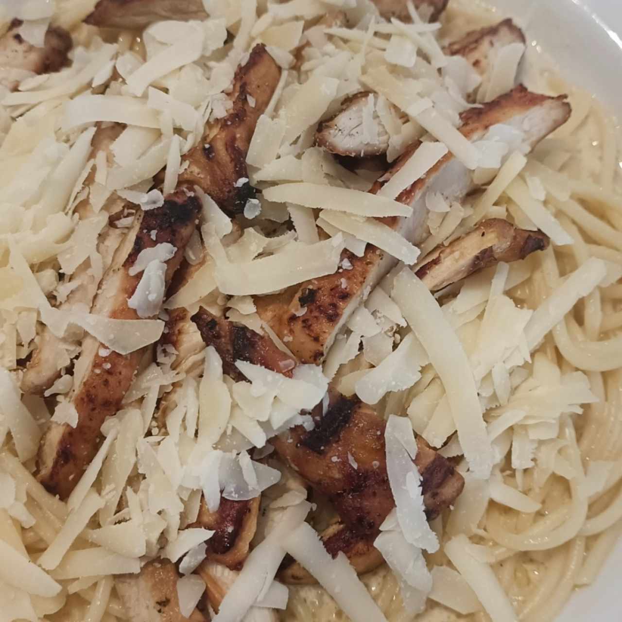 Pasta con pollo y salsa blanca