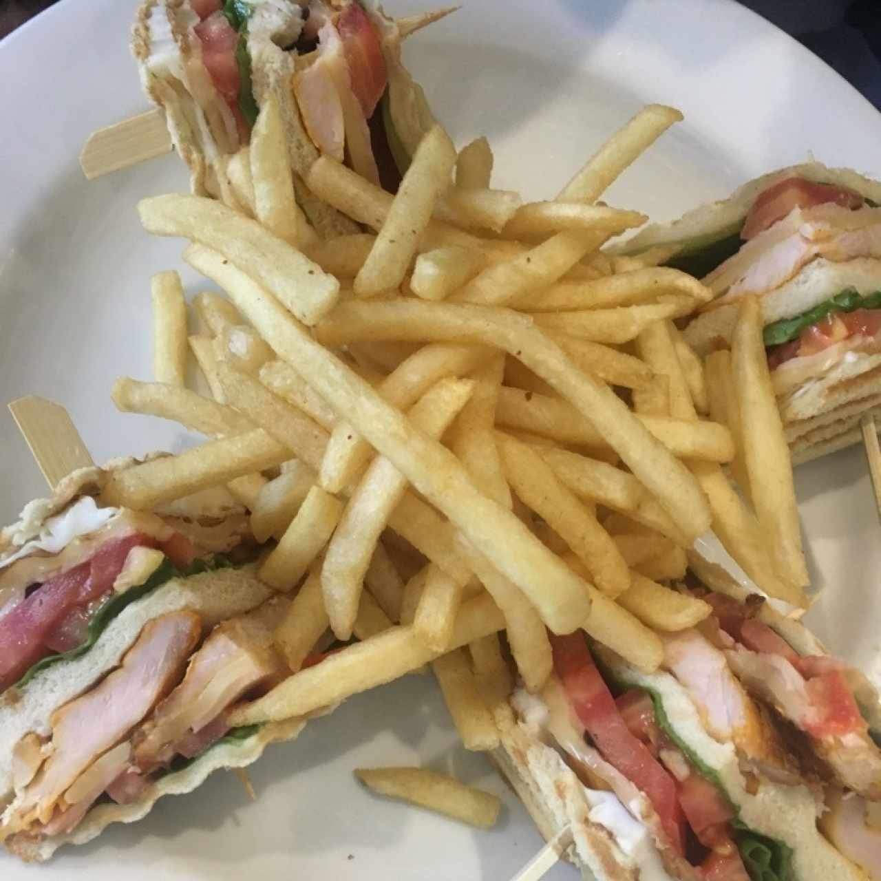 HANDHELD - CLUB SANDWICH