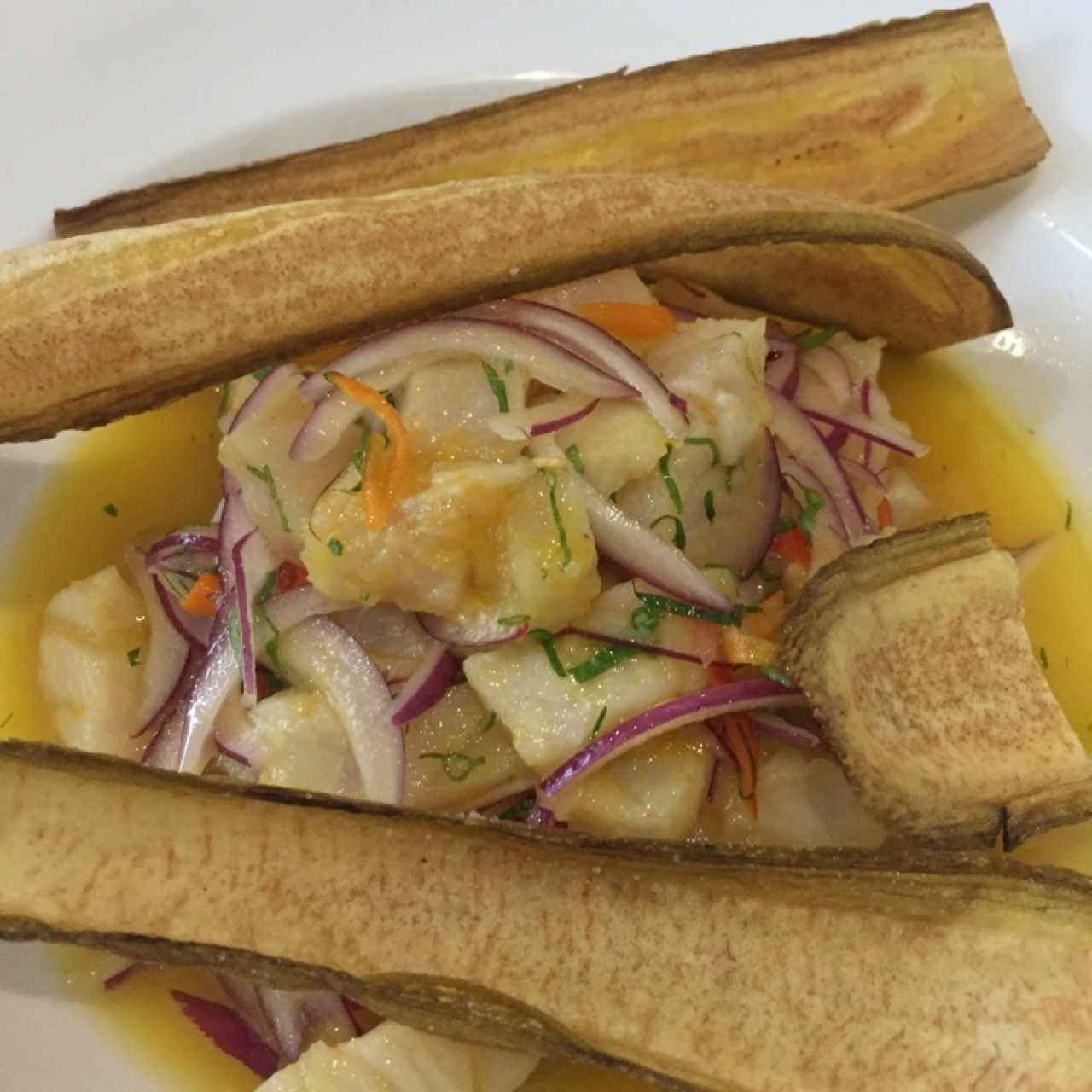 CEVICHE DE CORVINA / SEA BASS CEVICHE