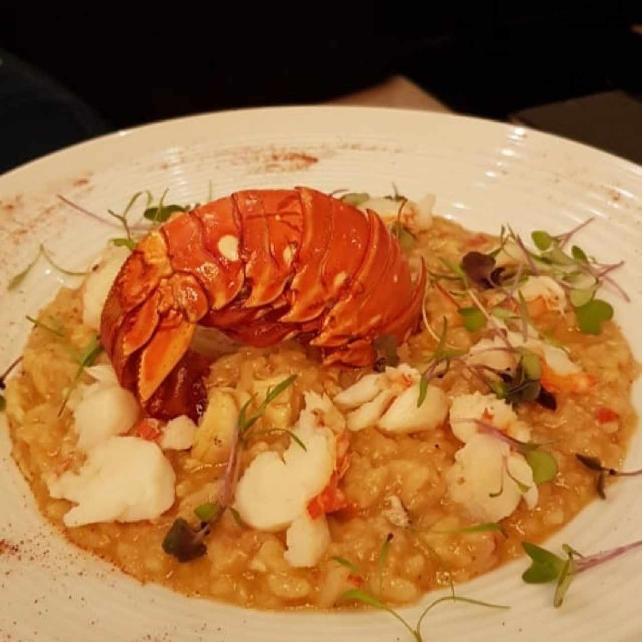 Risotto de Langosta