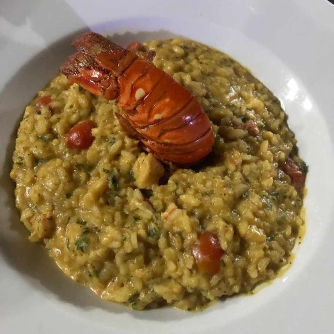 Risottos - Risotto de Langosta