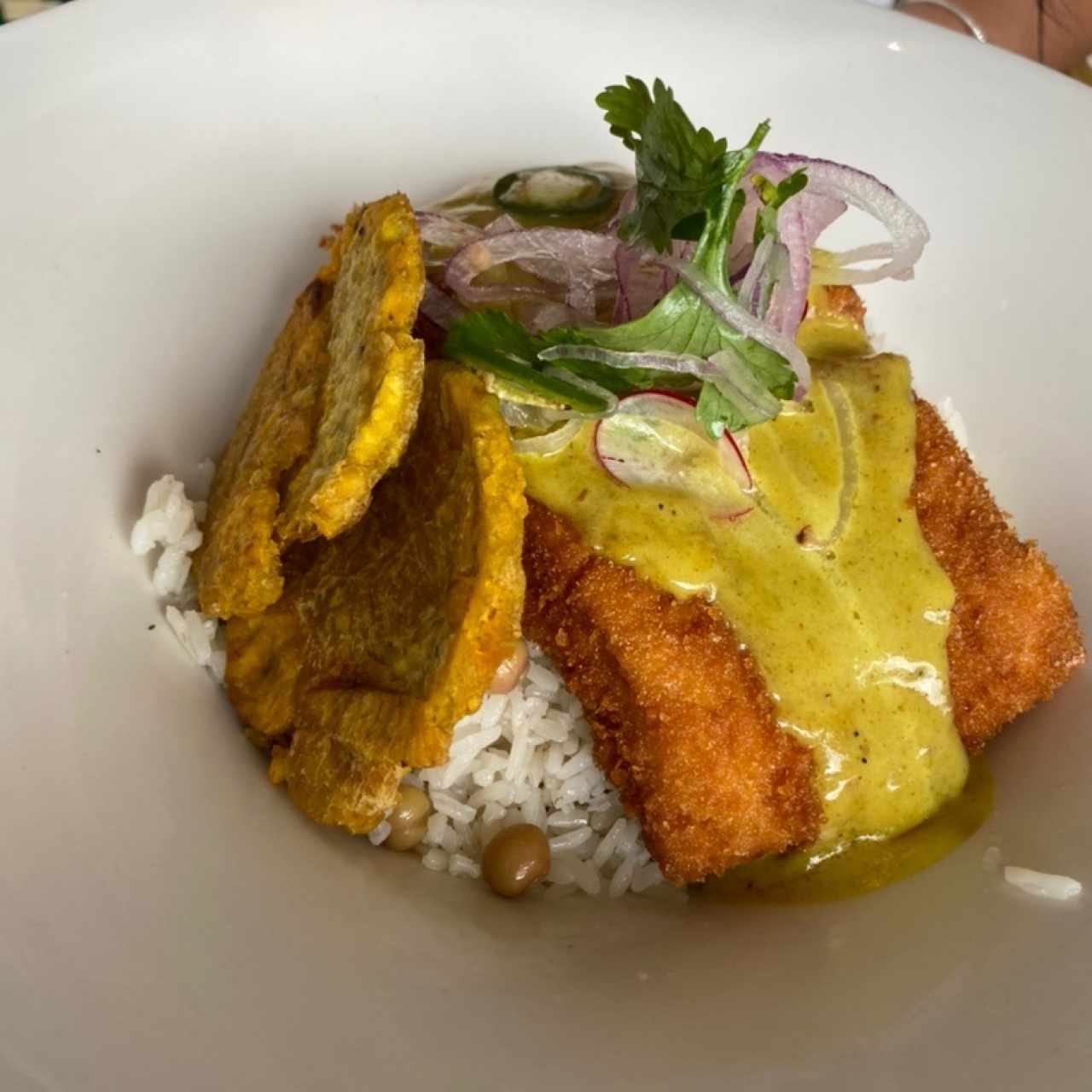 Corvina Apanada en salsa curry