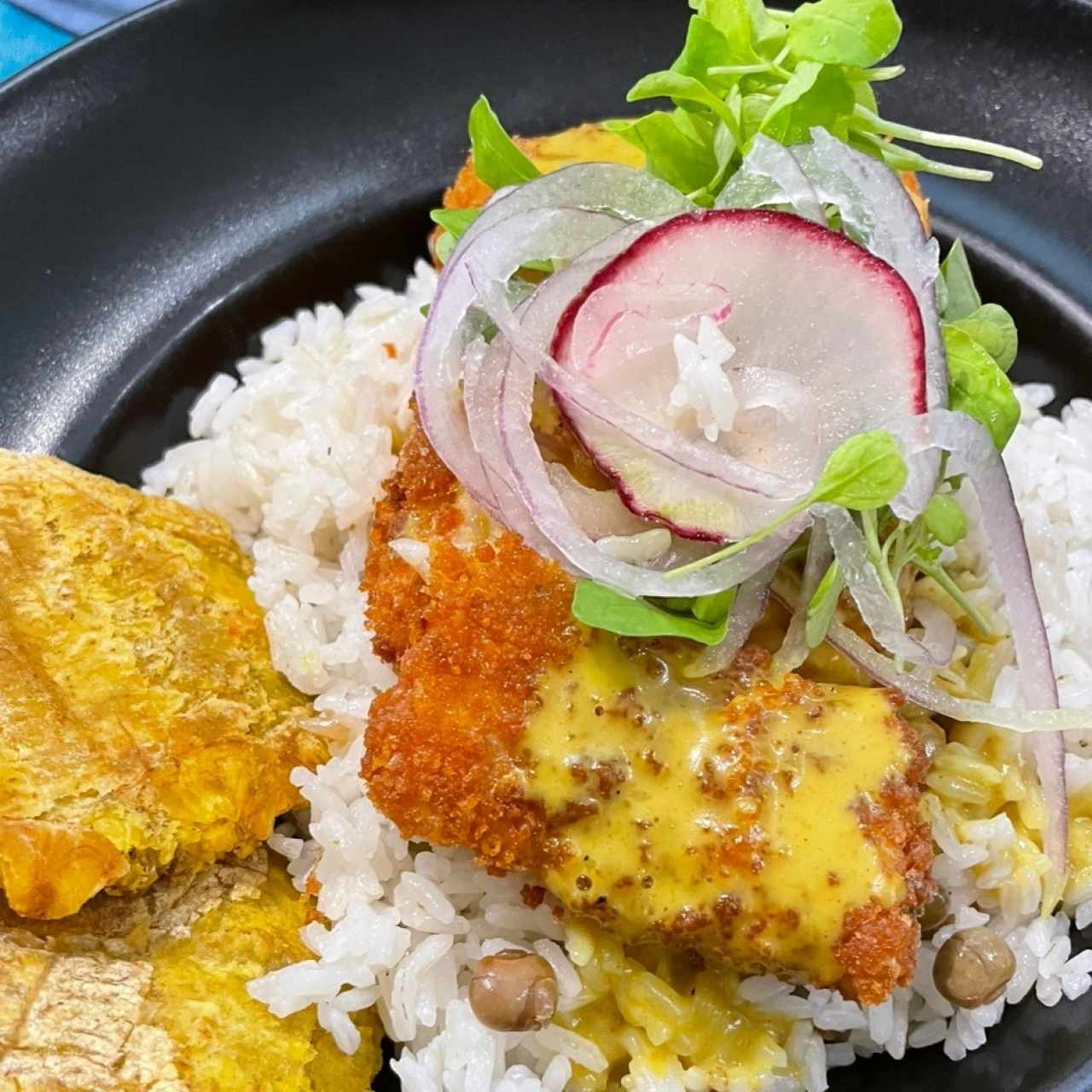 Corvina Coco y Curry