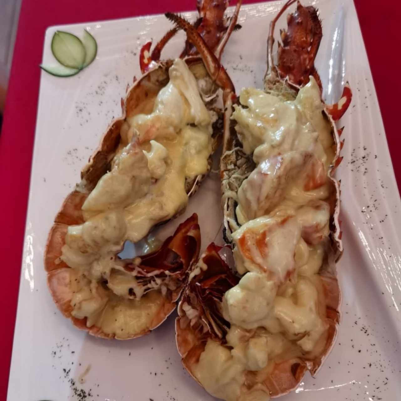 Langosta big lobster