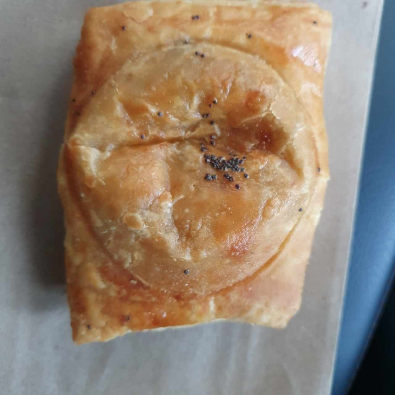 pastelito de carne