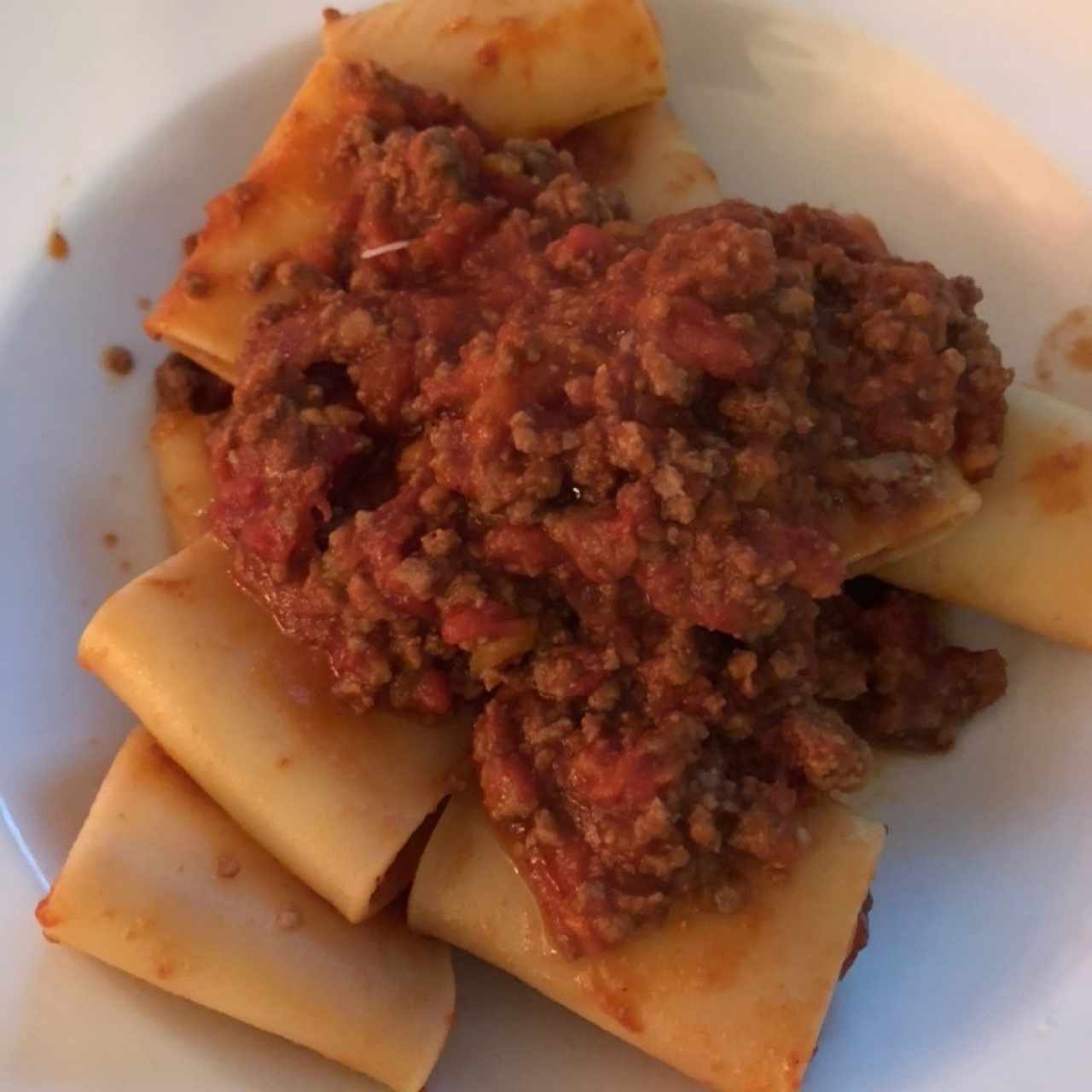 paccheri bolognesa 