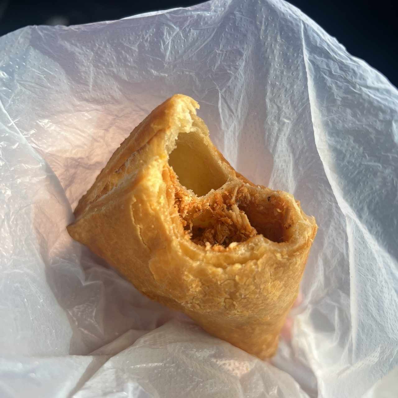 Empanada de pollo