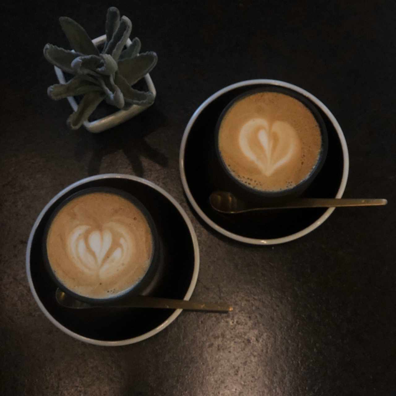 Cortadito