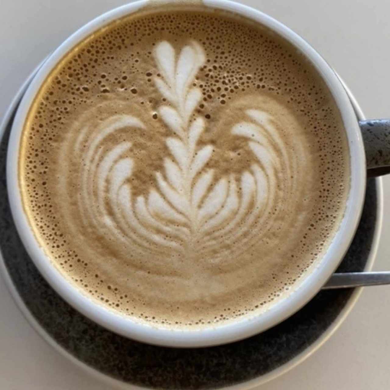 Capuchino