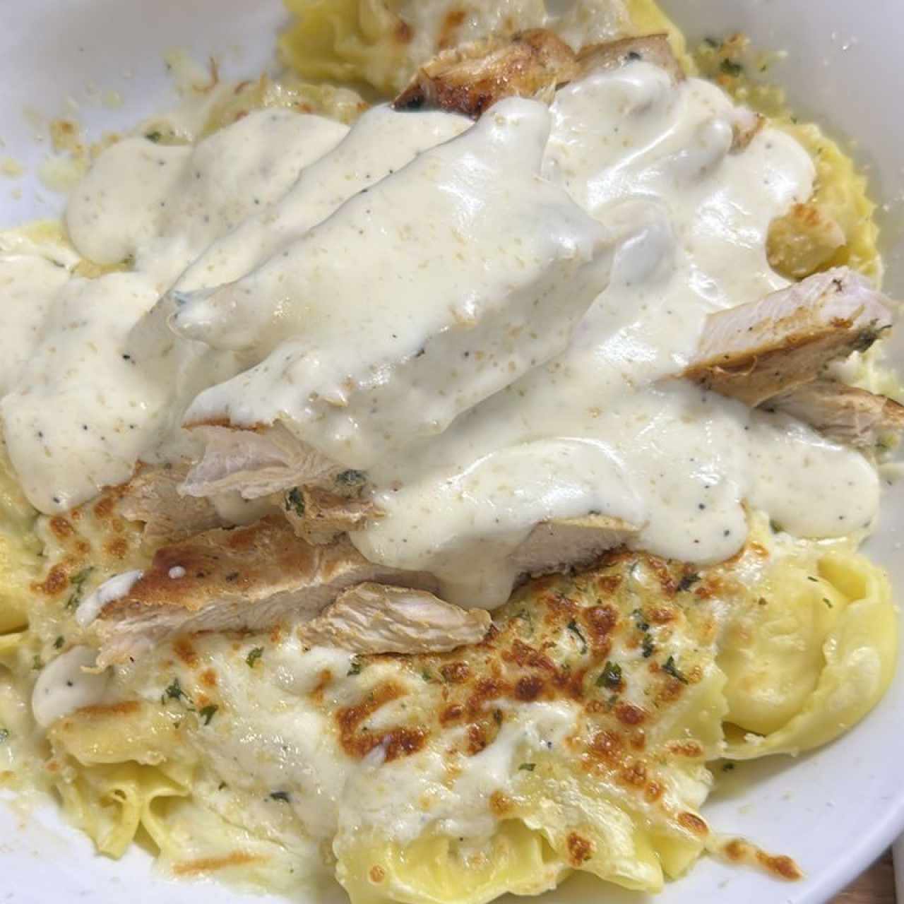 Asiago Tortelloni Alfredo With Grilled Chicken