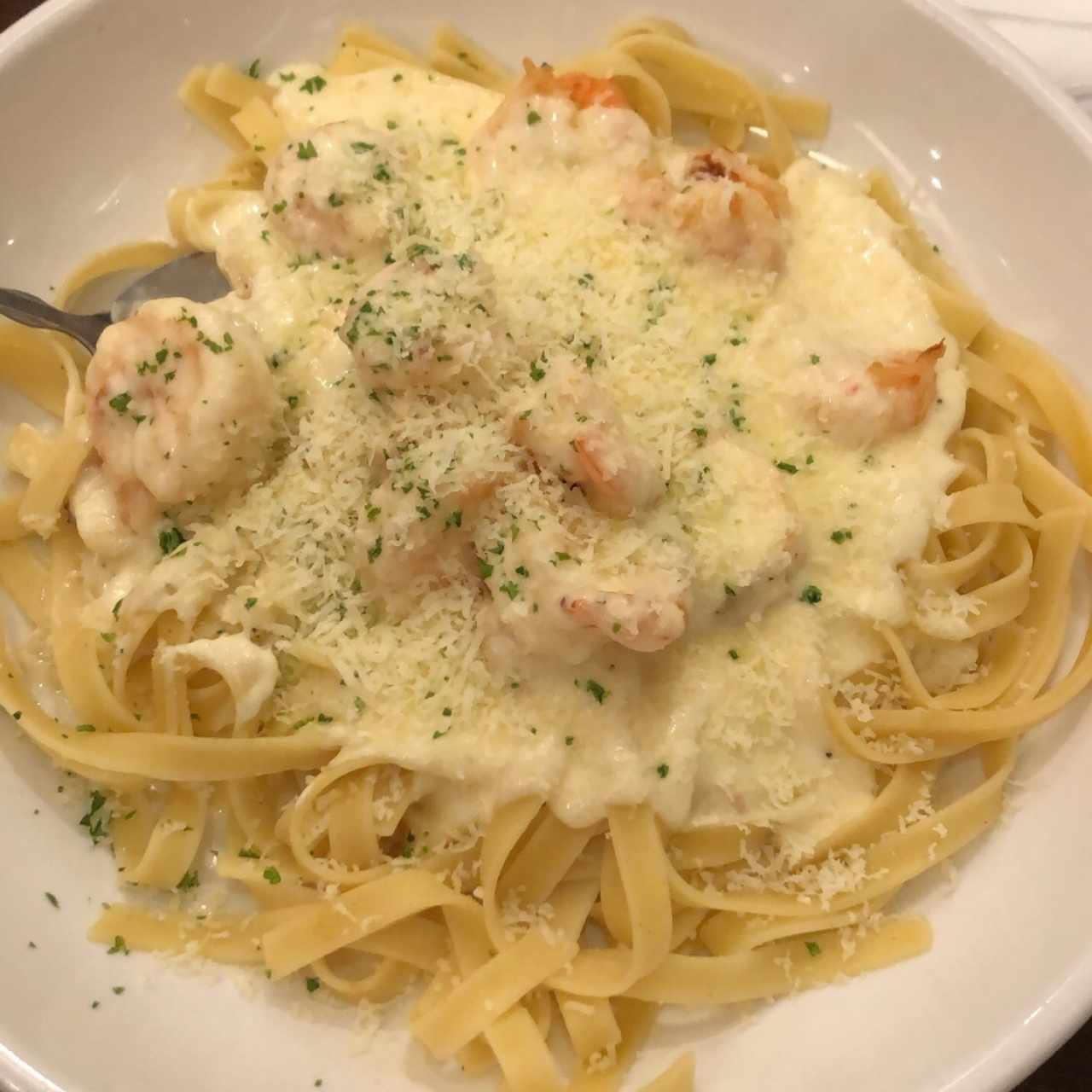 Shrimp Alfredo