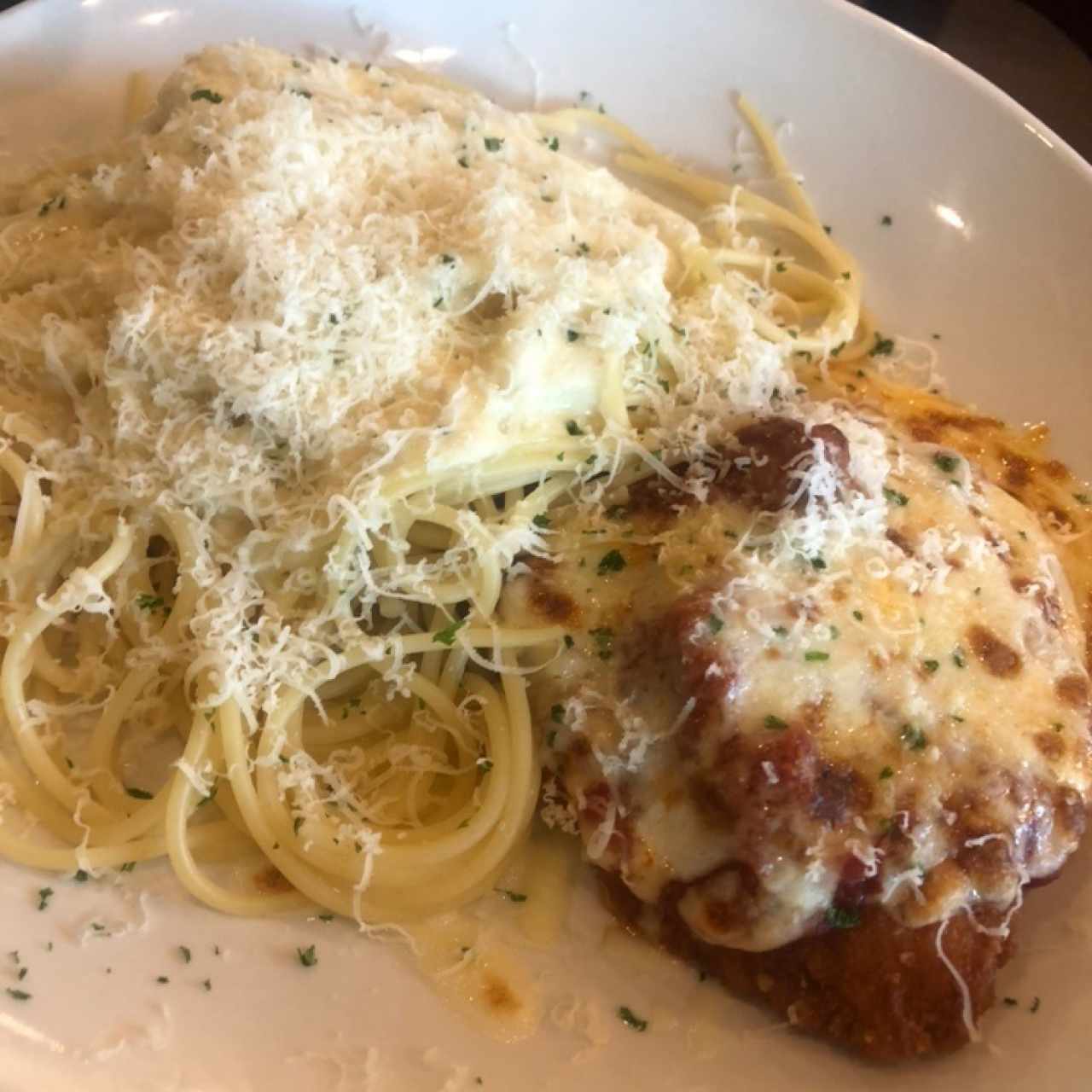 Pollo a la parmesana con spaguetti con salsa blanca