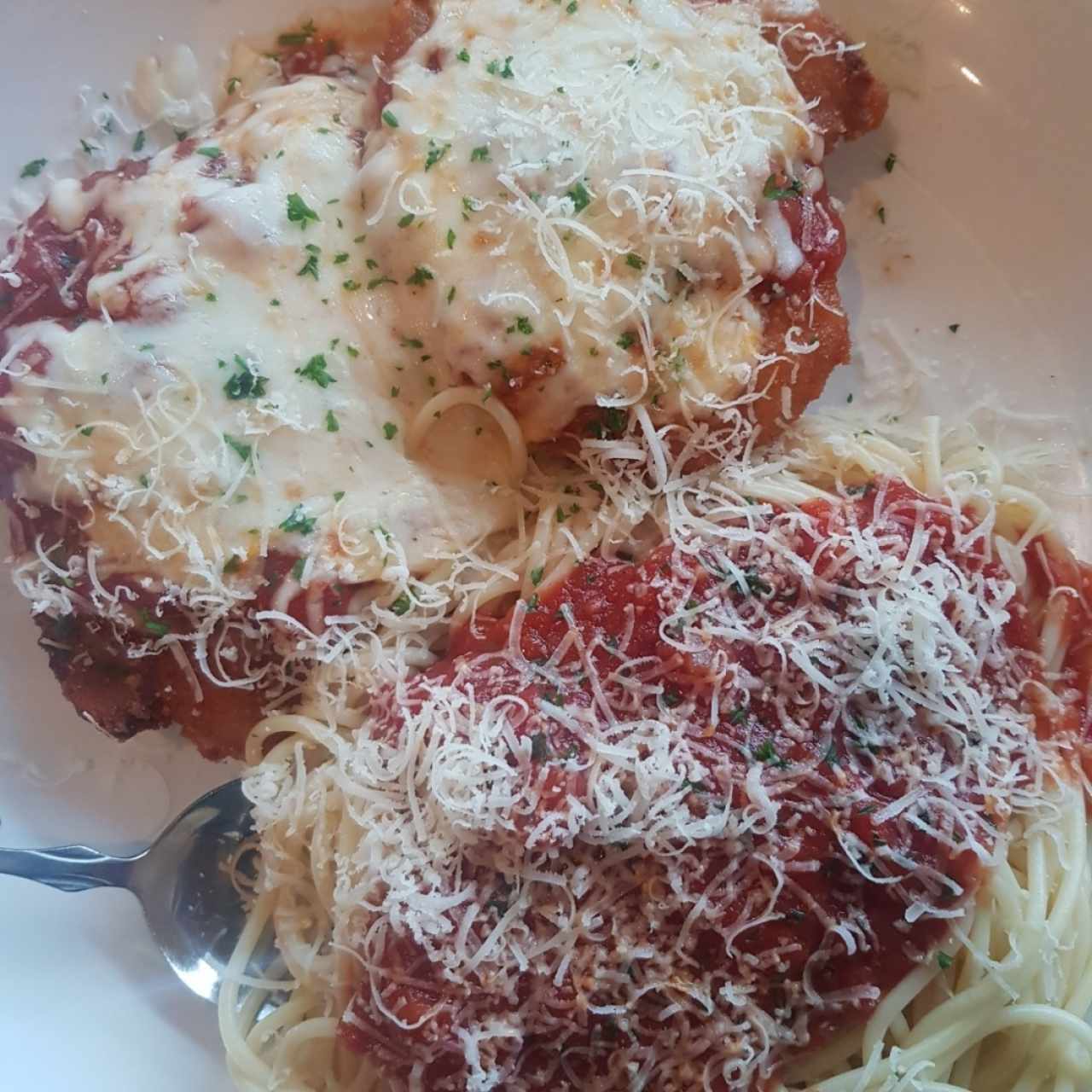 pollo parmigiana