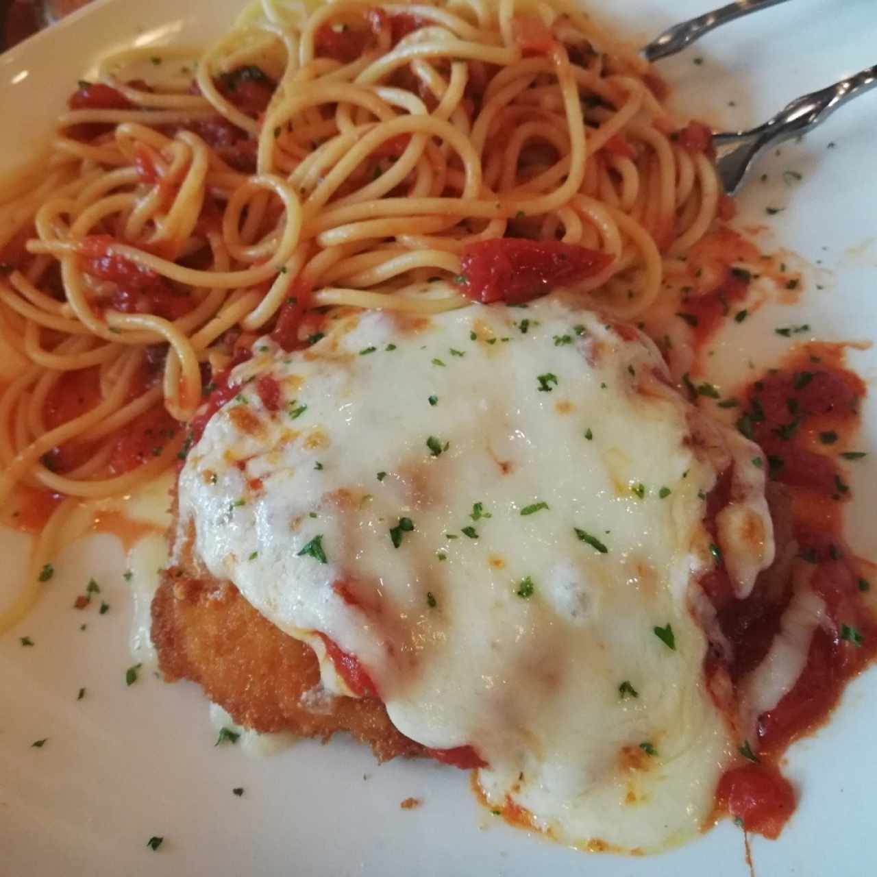  Chicken parmigiana