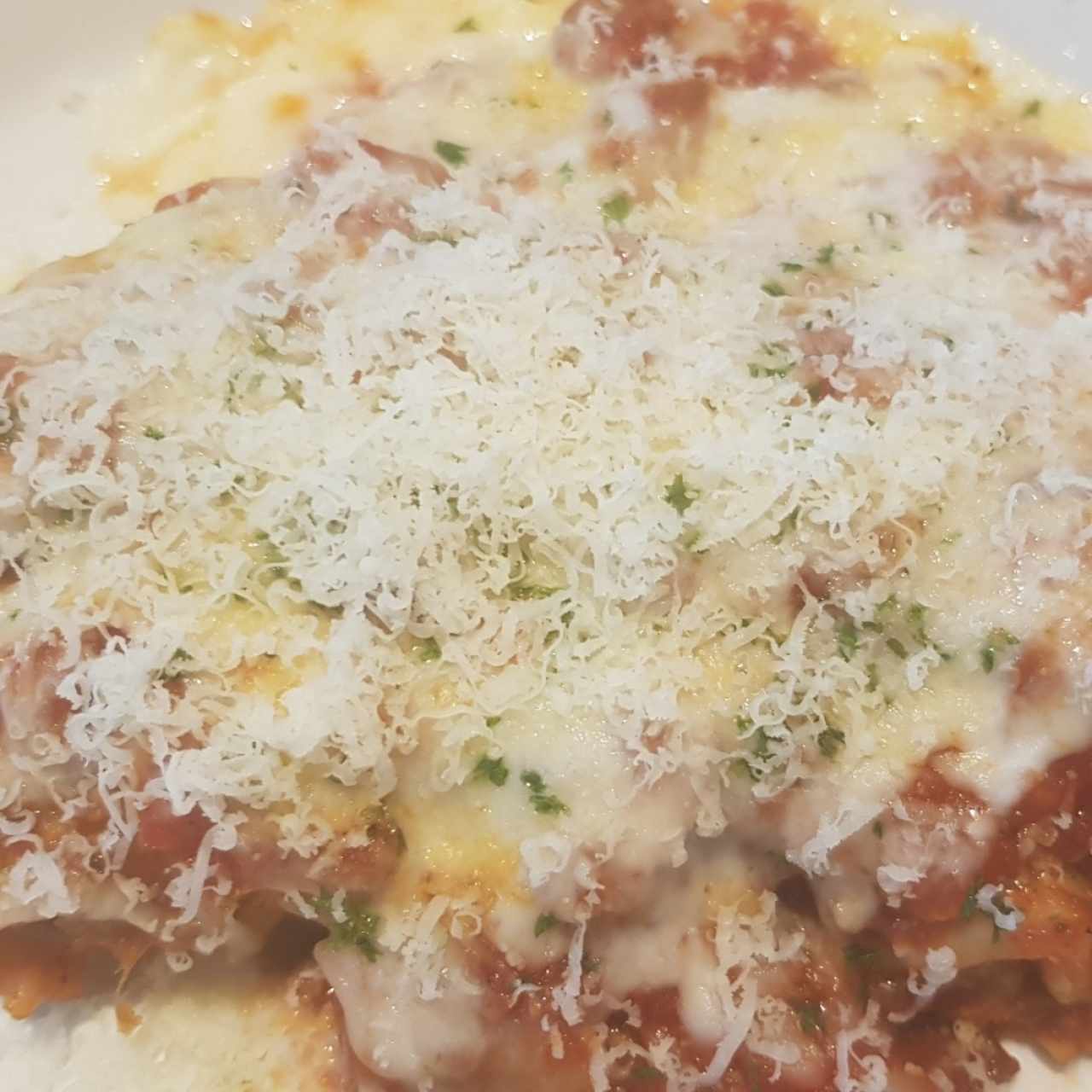 lasagna clasica