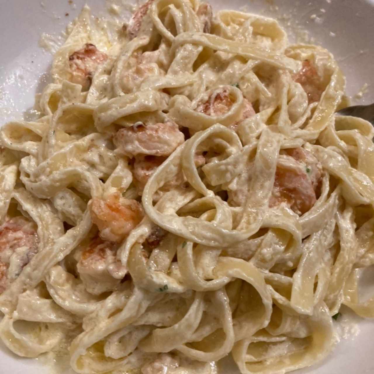 Shrimp Alfredo