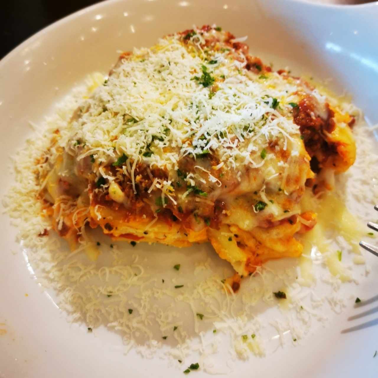 Clasicas Favoritas - Lasagna Classico