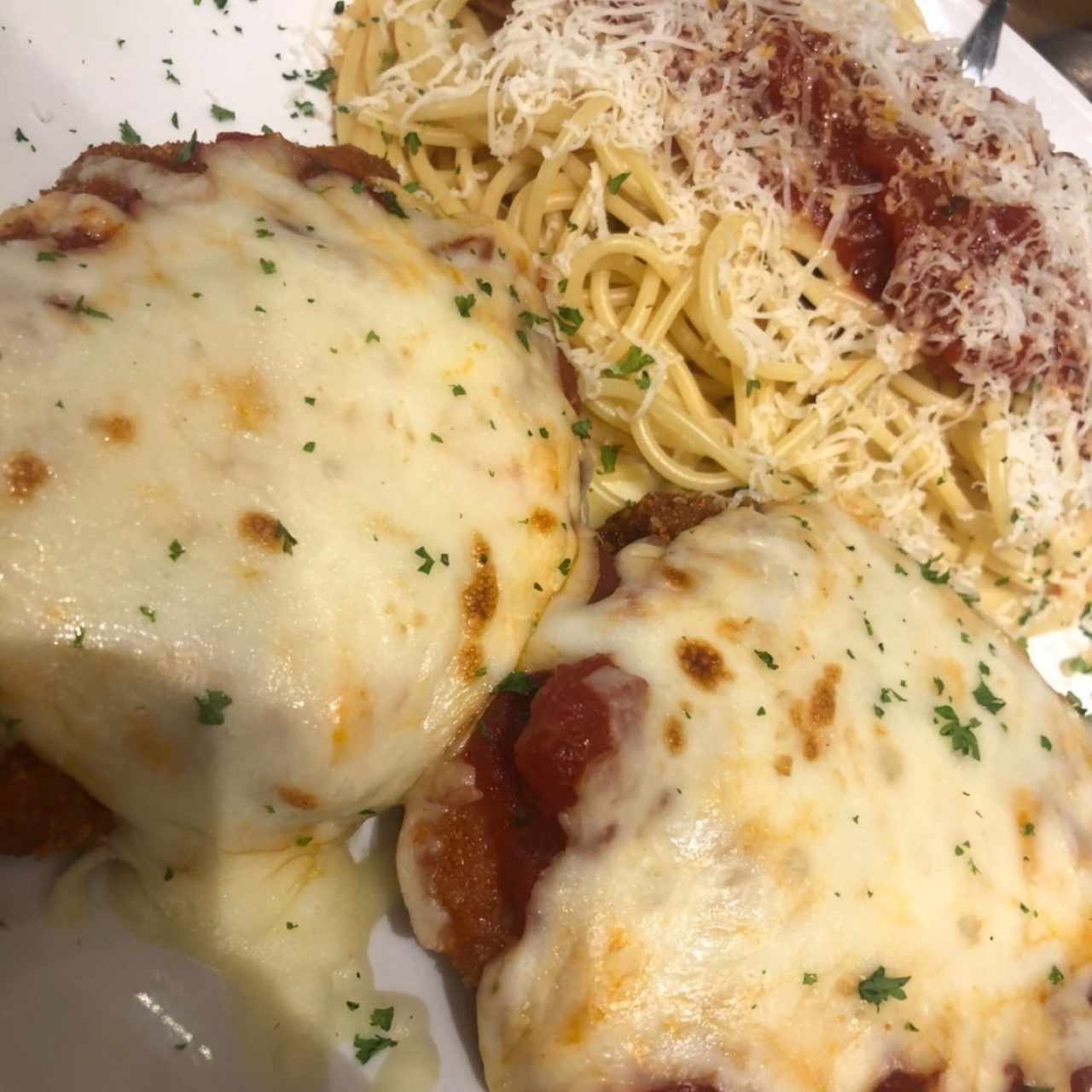 chicken parmigiana