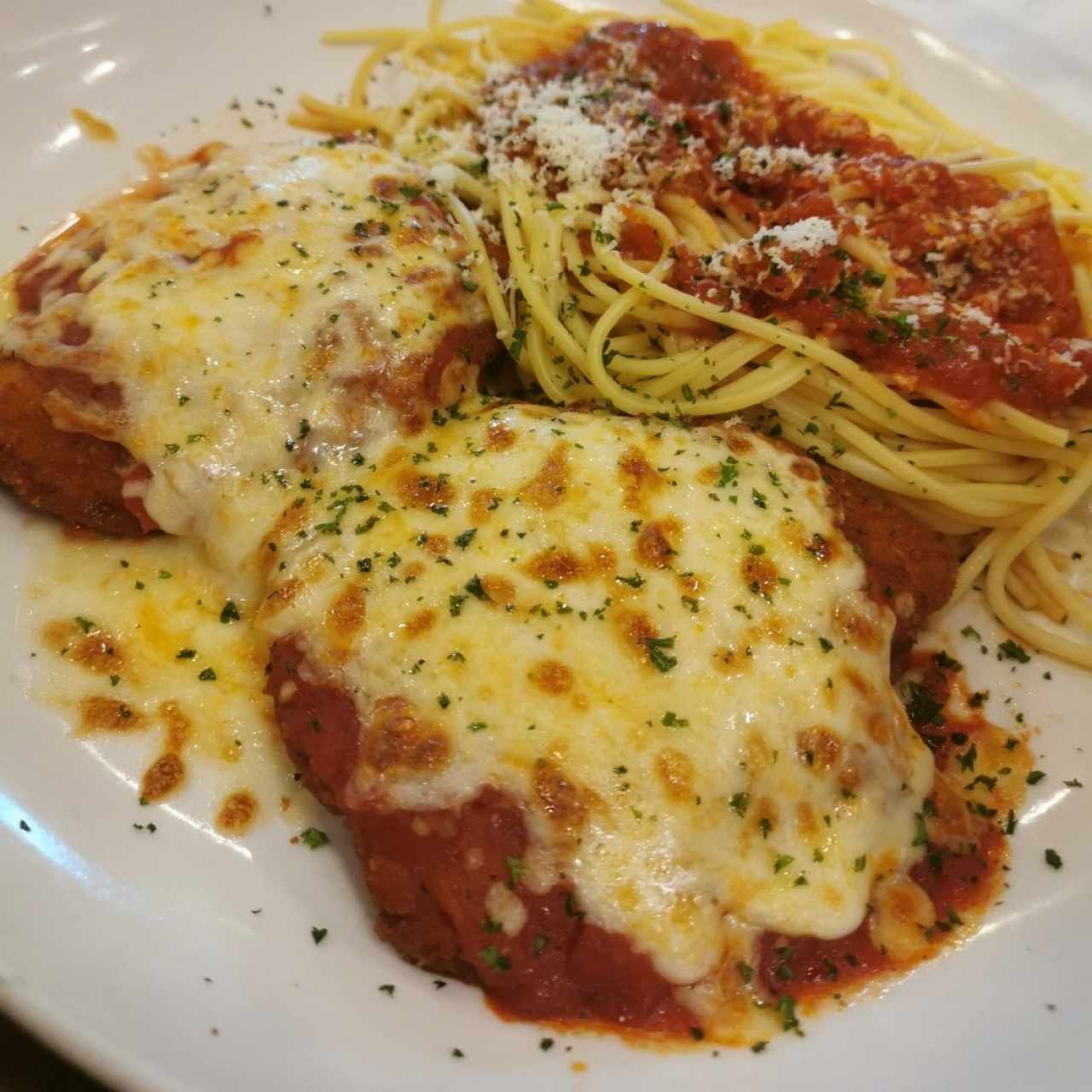 Clasicas Favoritas - Chicken Parmigiana