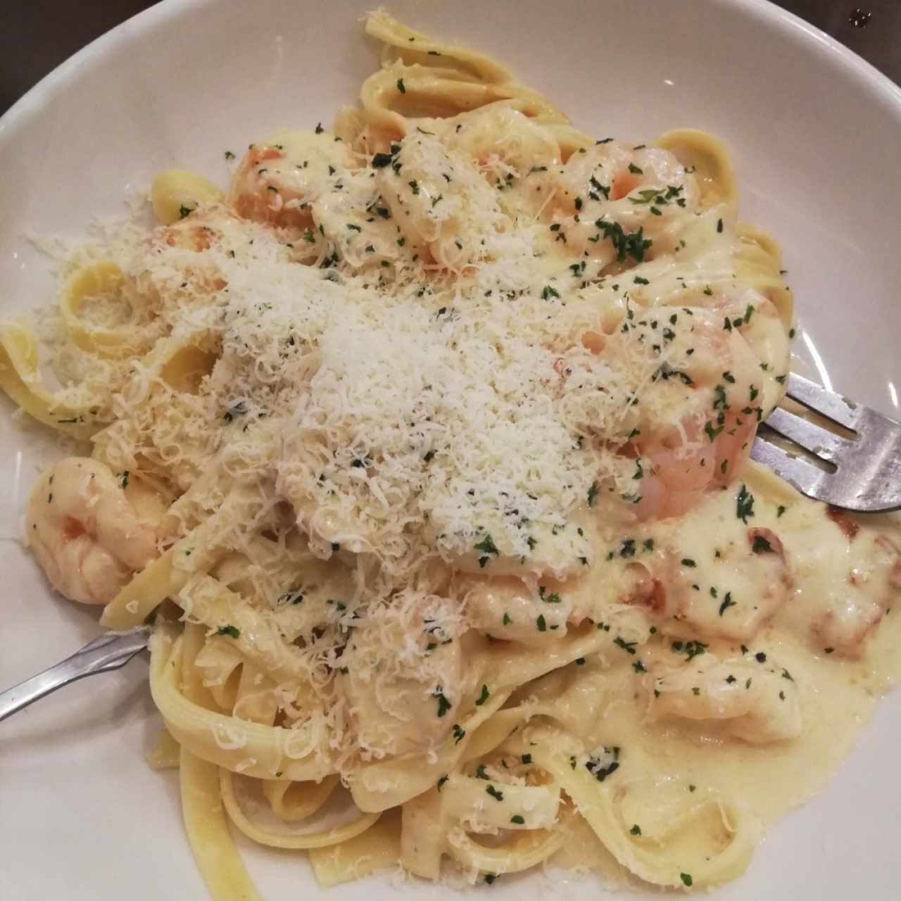 shrimp Alfredo 