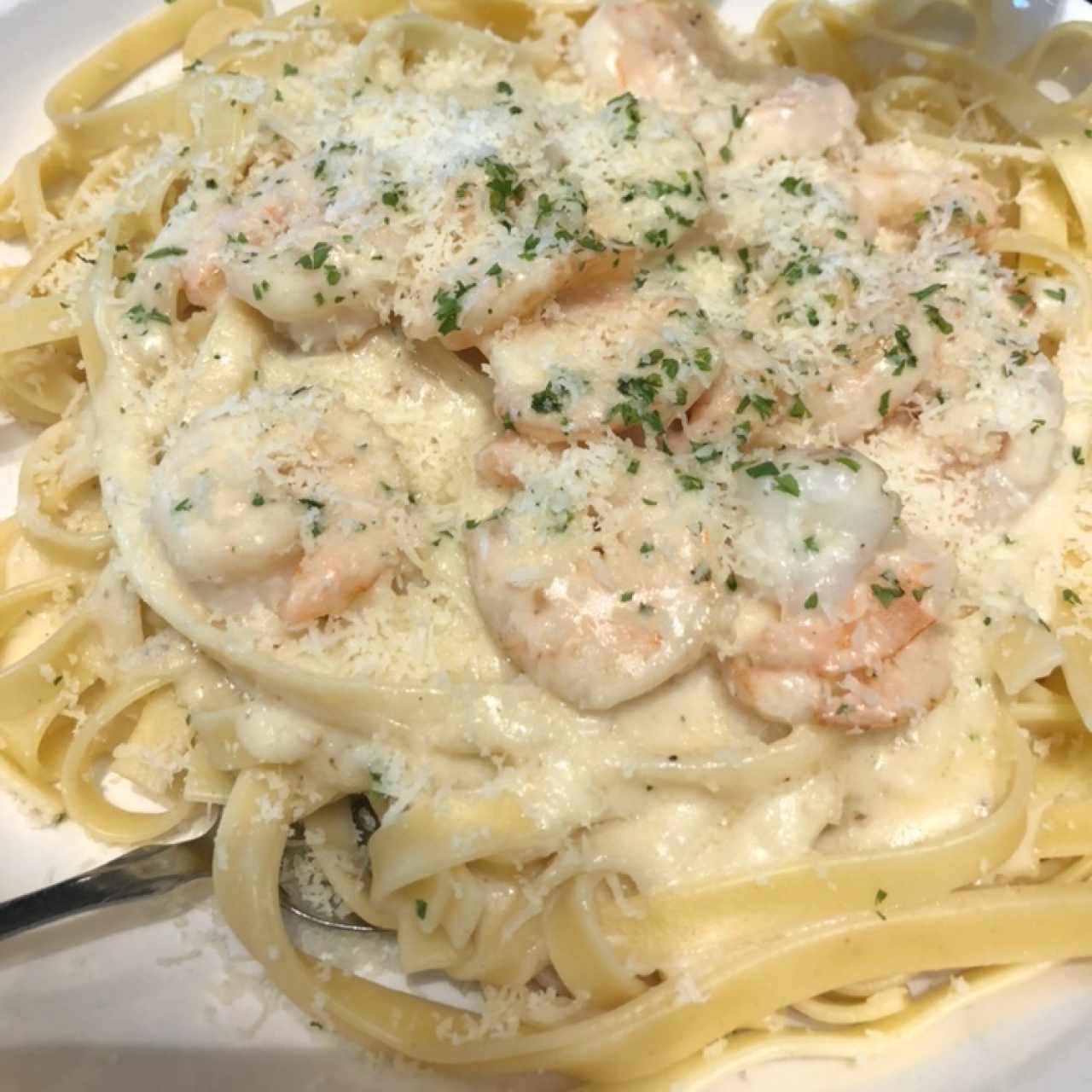 Shrimp Alfredo