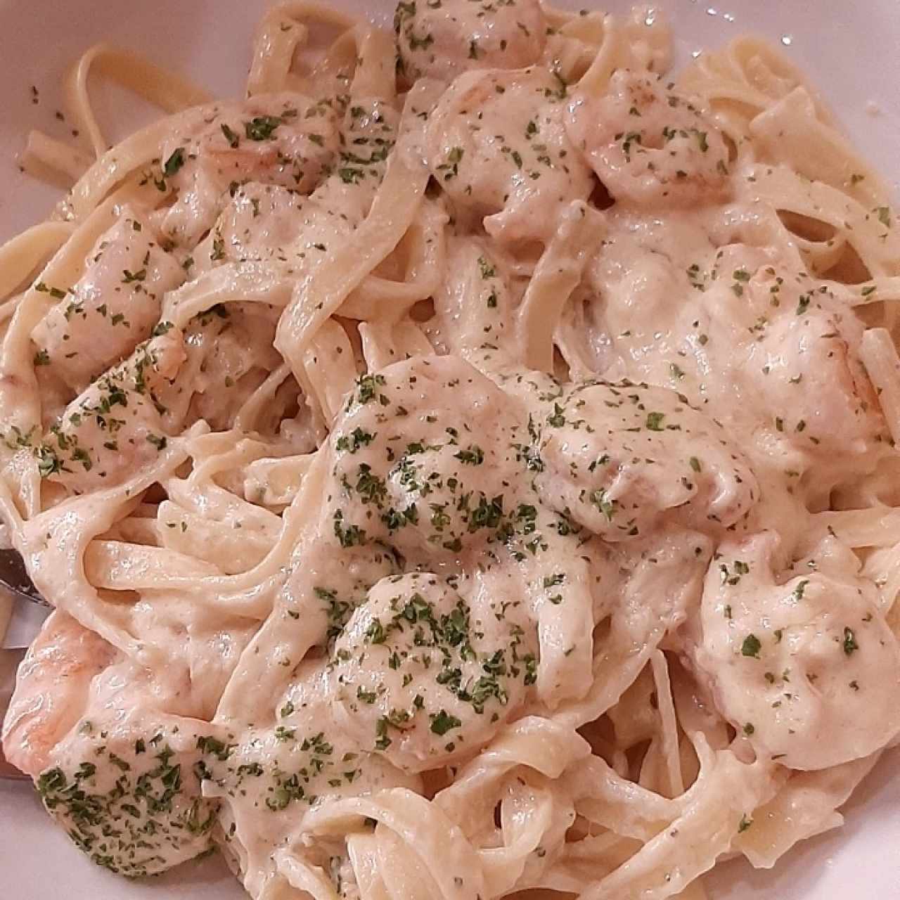 shrimp Alfredo