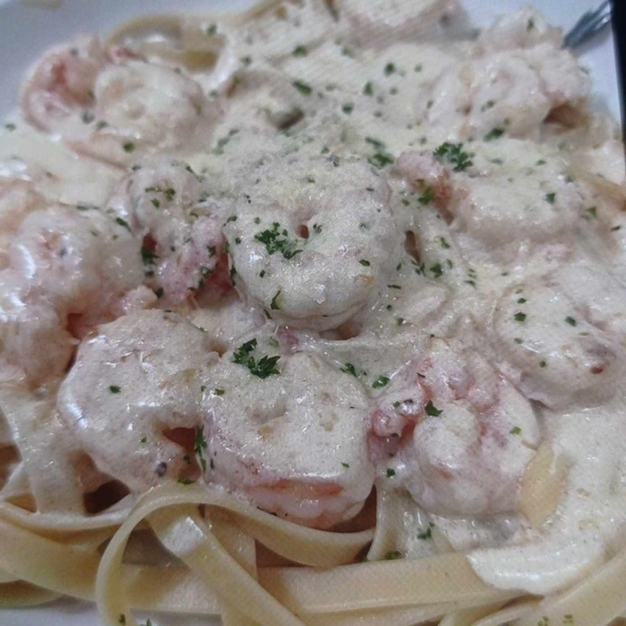 Fetttucine con camarones 