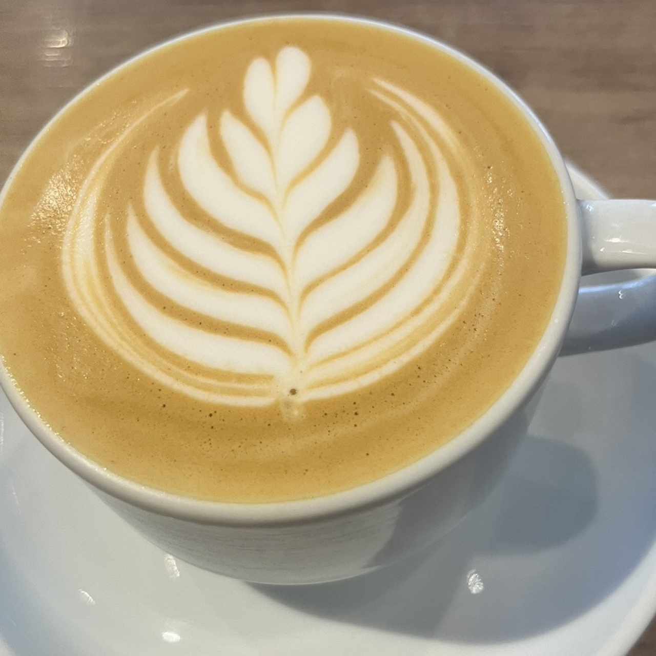 Capuchino