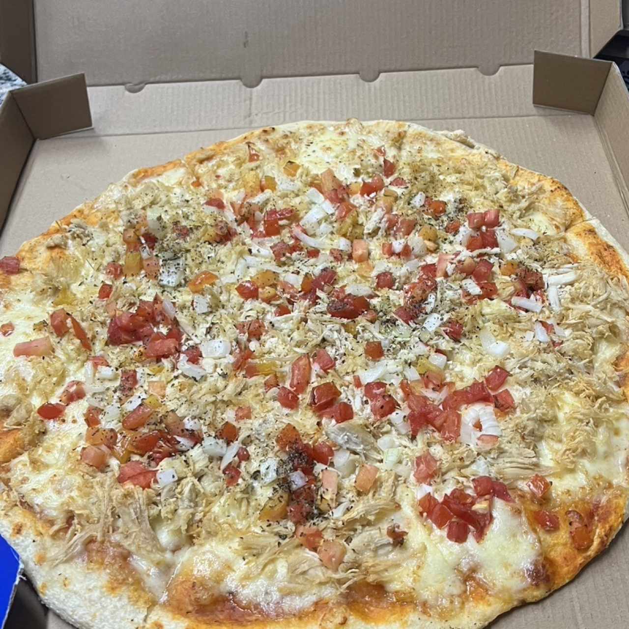 Pizza de pollo especial
