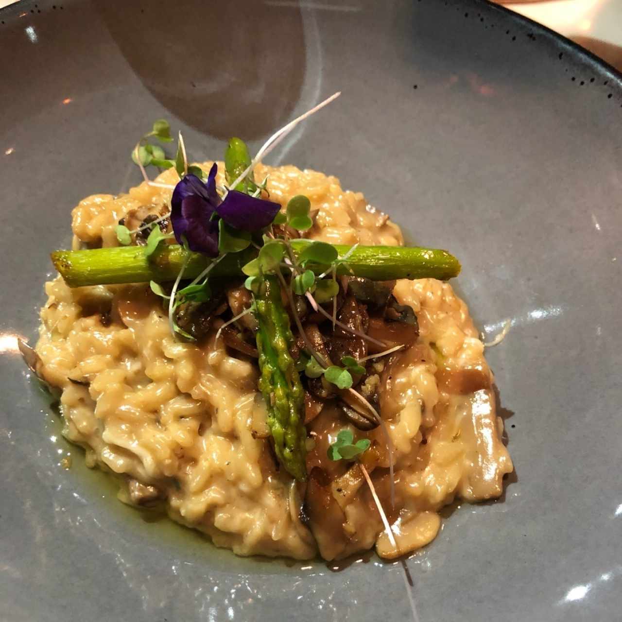 Risotto de hongos 