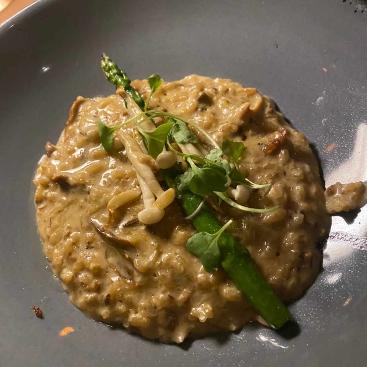 RISOTTO CAMPESTRE