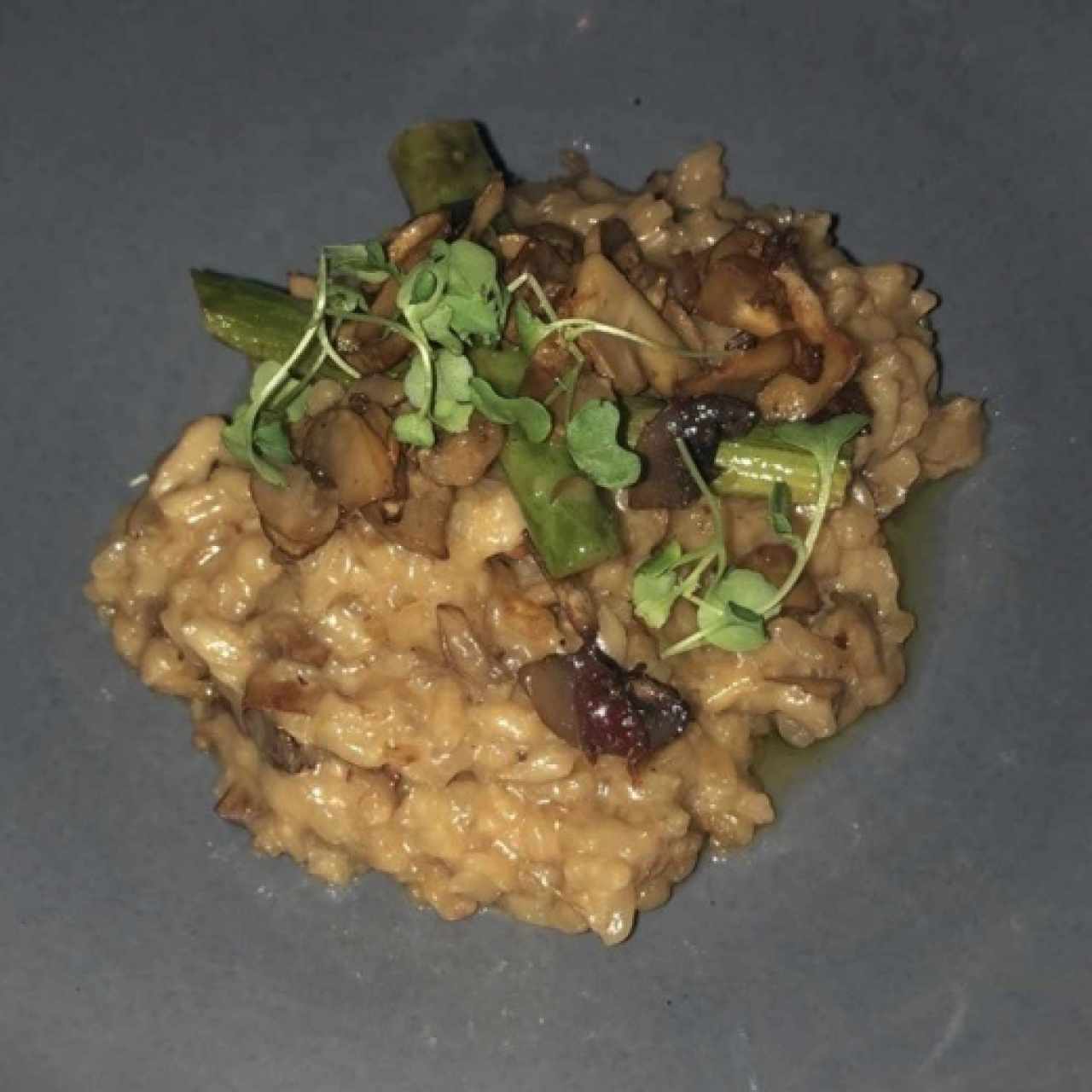 RISOTTO REGGIANO