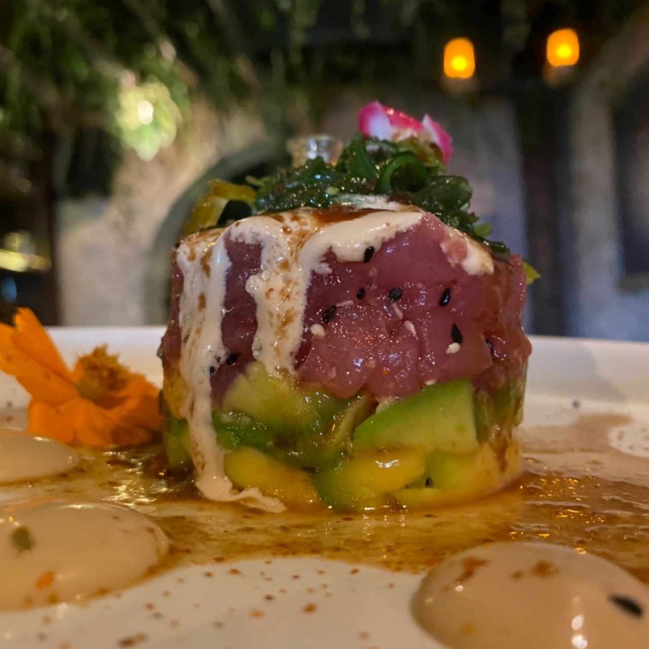 Tuna Tartar F.E