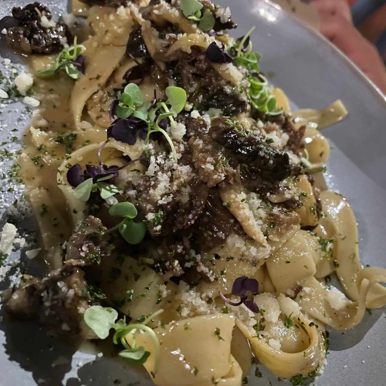 Pastas - Pappardelle Short Rib