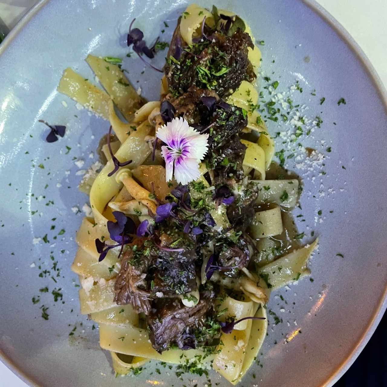 Pastas - Pappardelle Short Rib