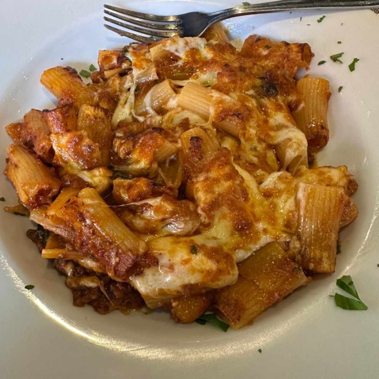 Rigatoni a la Bologenesa