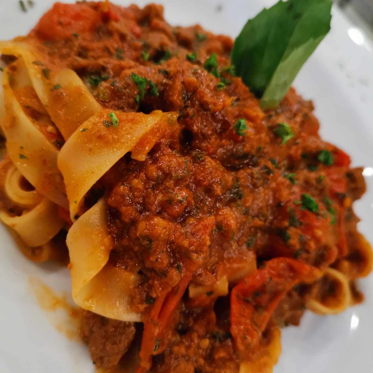 fetuccini bolognesa