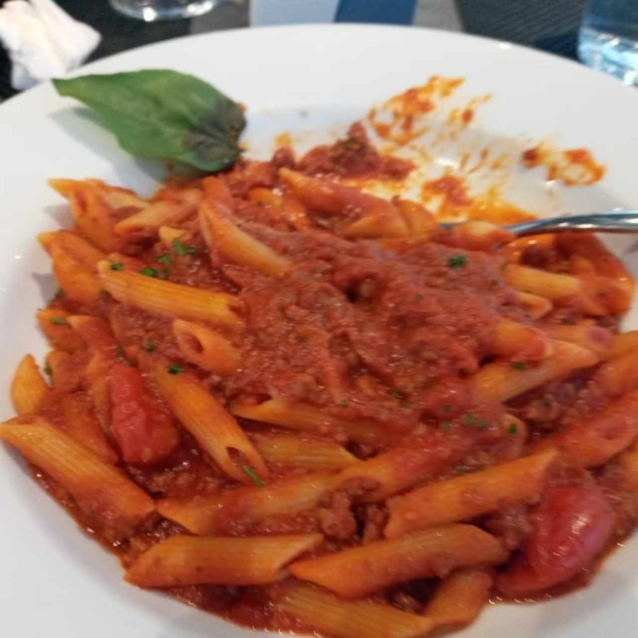 penne bolognesa