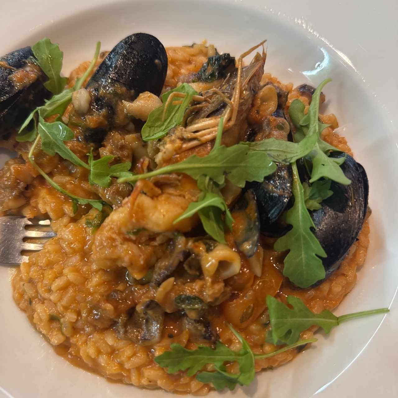 Risotto a la Pescatore Don Roberto a la Pizzaiola