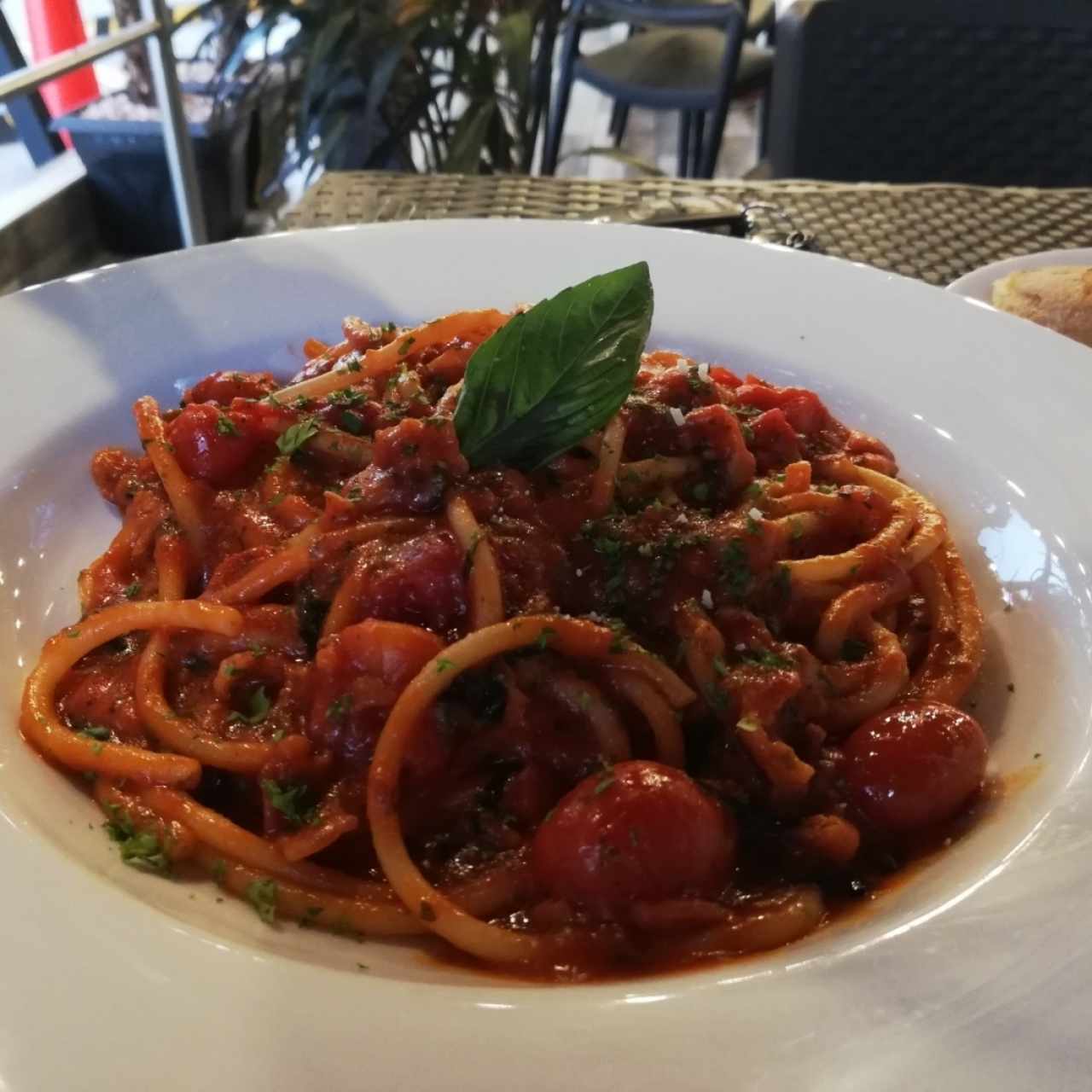 Bucatini a la amatriciana