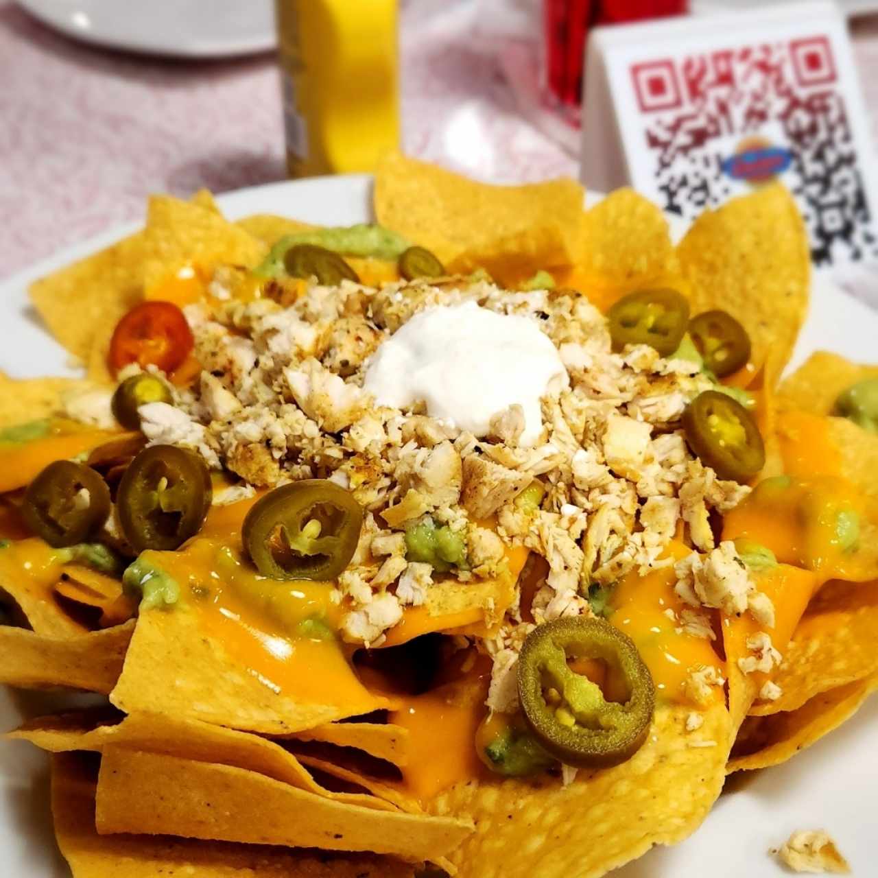 Nachos de Pollo y Carne