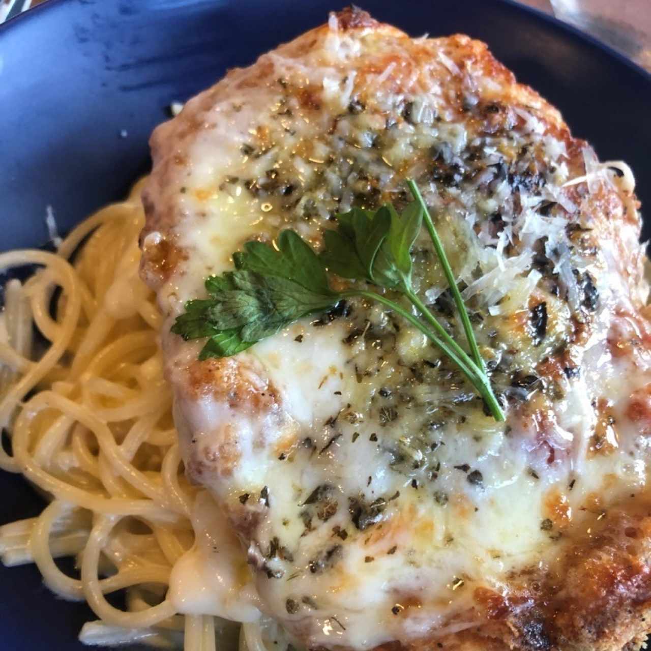 pollo a la parmigiana