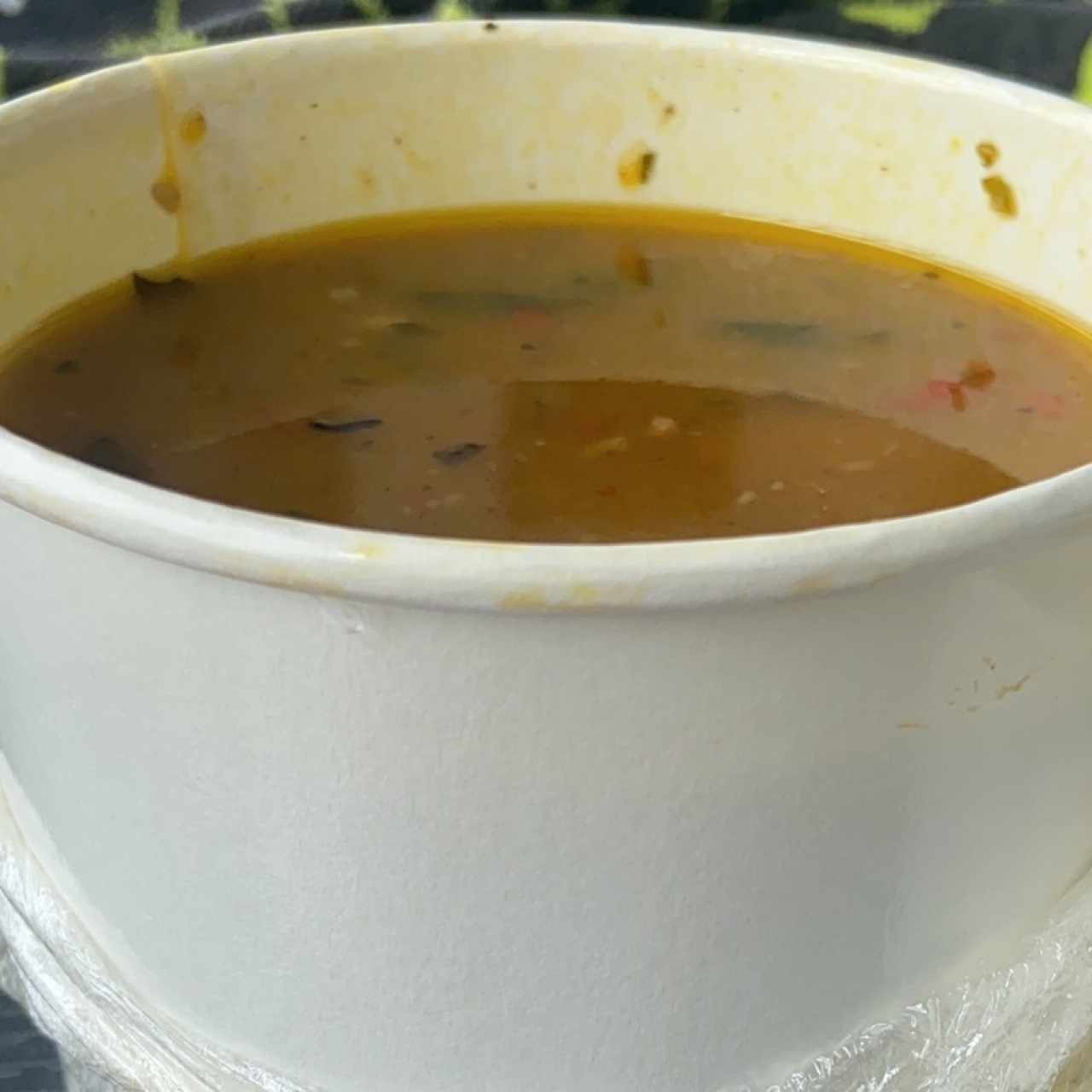 Sopa del Día