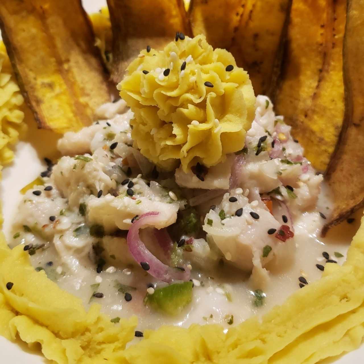 ceviche de corvina