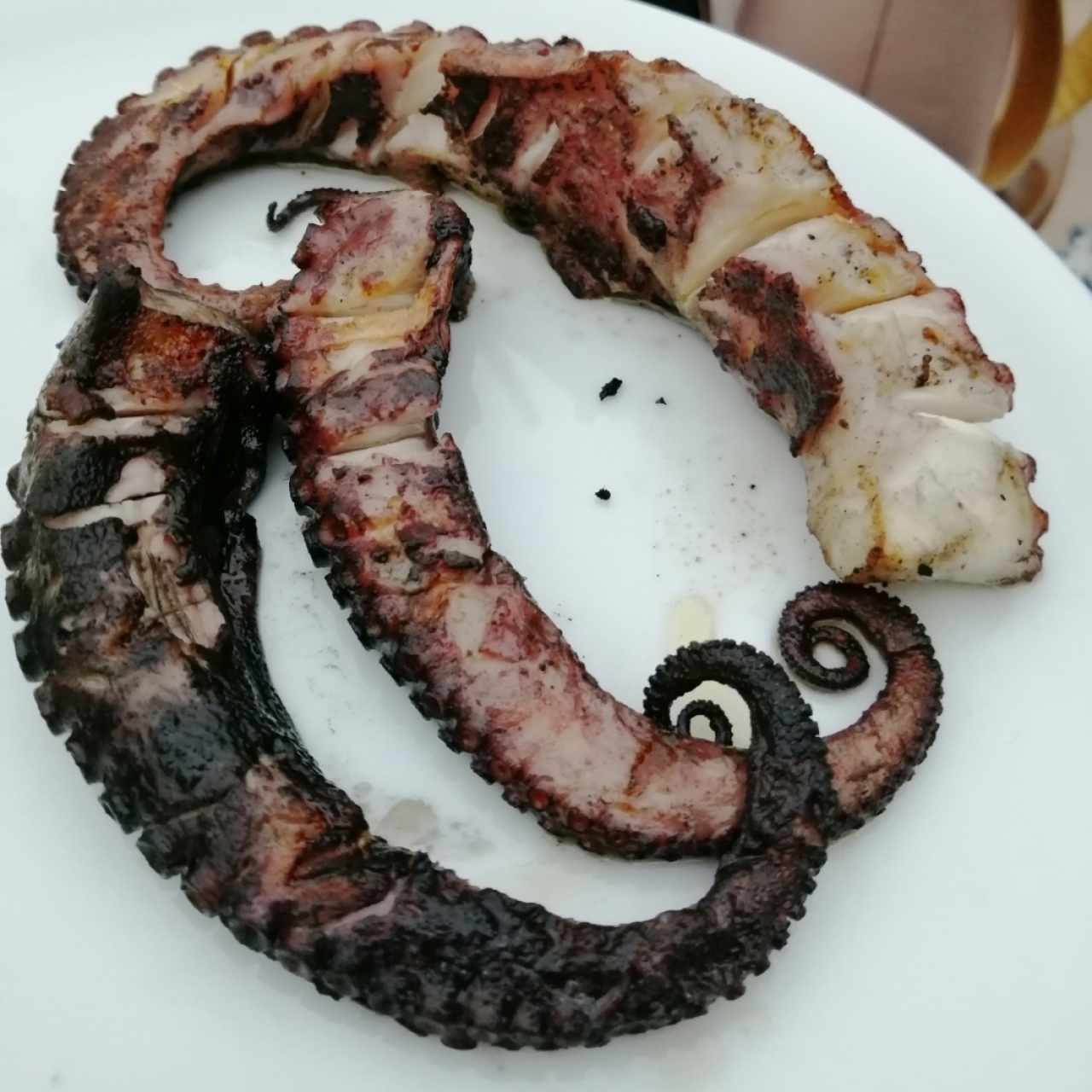 Pulpo