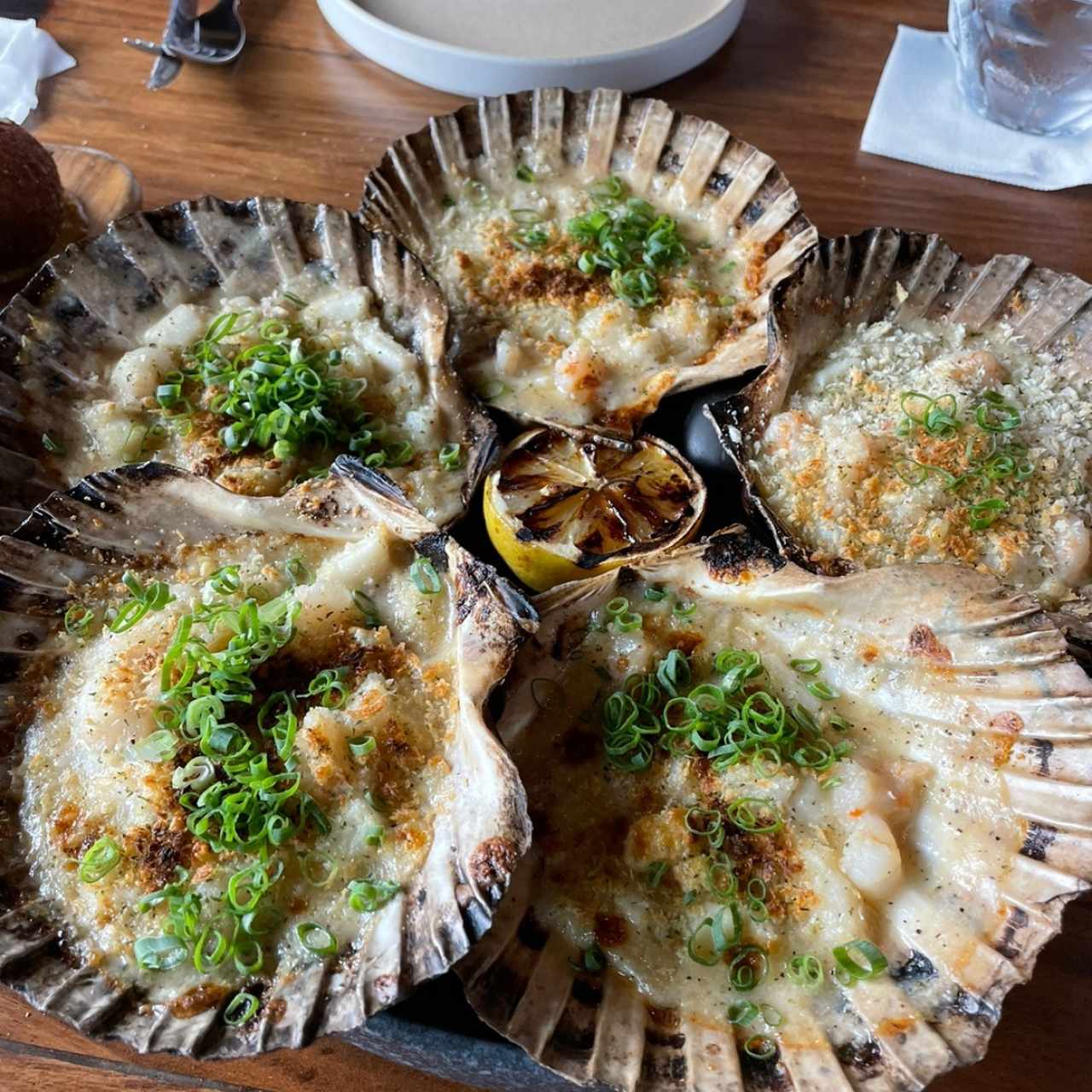 coquille