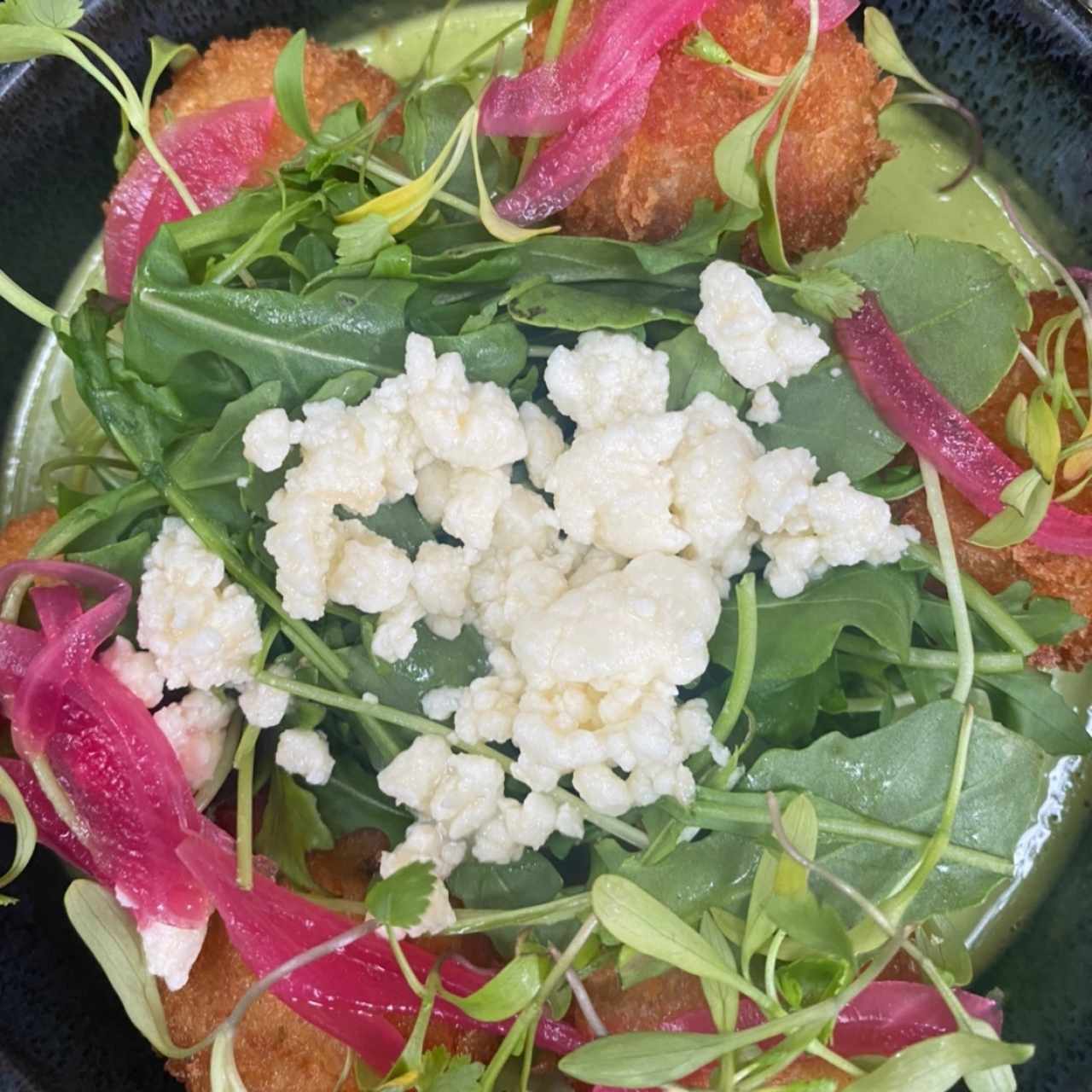 Platos pequeños - CROQUETAS DEL JARDIN